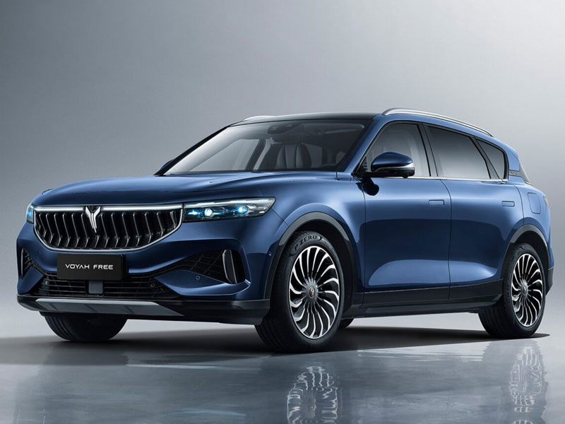 آغاز فروش وویا فری  2025 به زودی